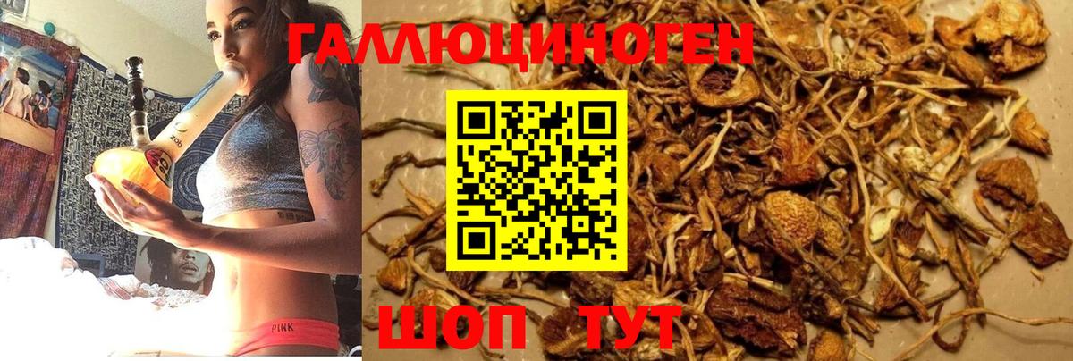 Партизанск  Псилоцибиновые грибы Psilocybine cubensis  Галлюциногенные грибы прущие грибы  Вход с VPN 